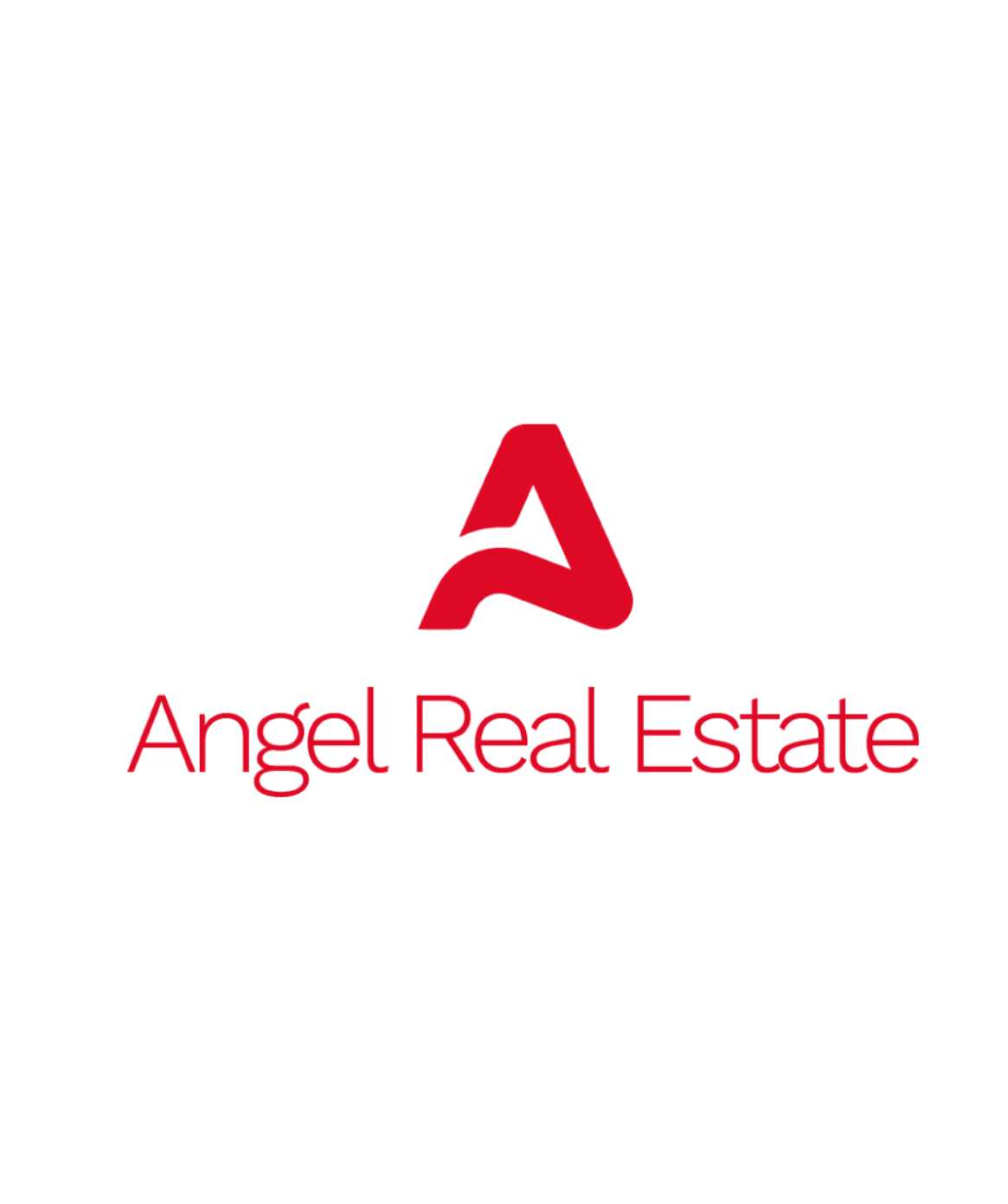 Angel Real Estate Team